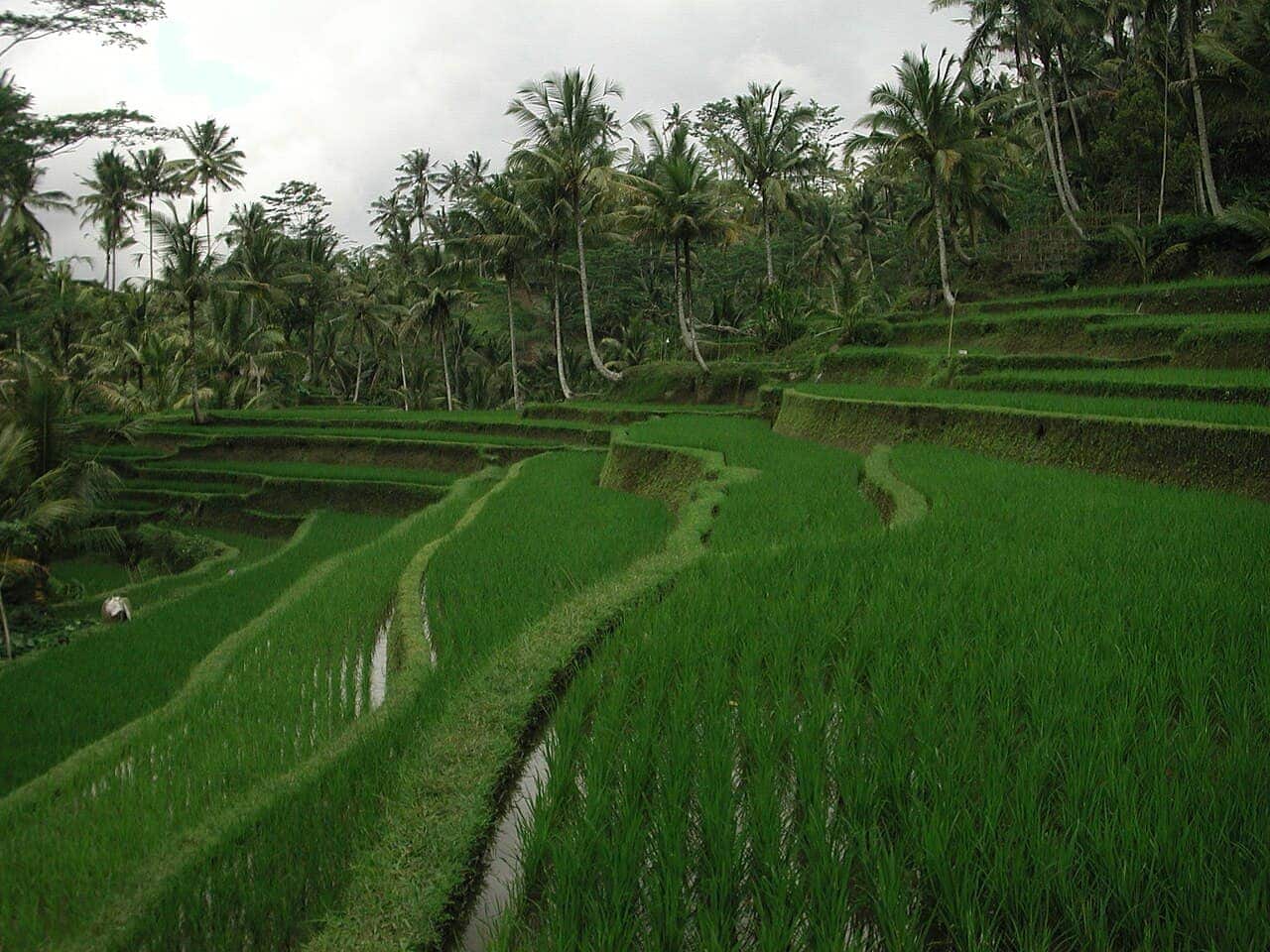 Indonesia travel scene