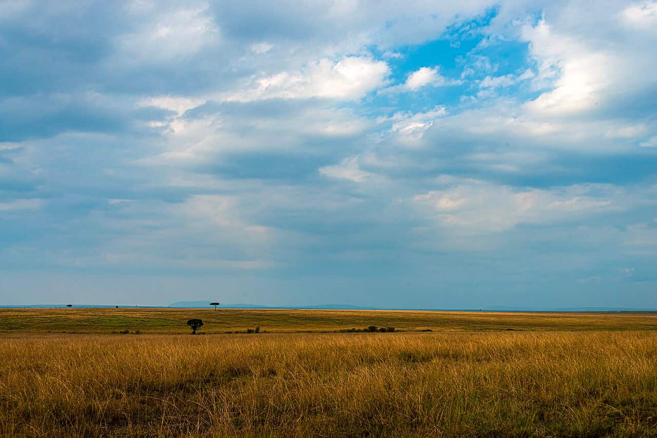 Kenya travel scene