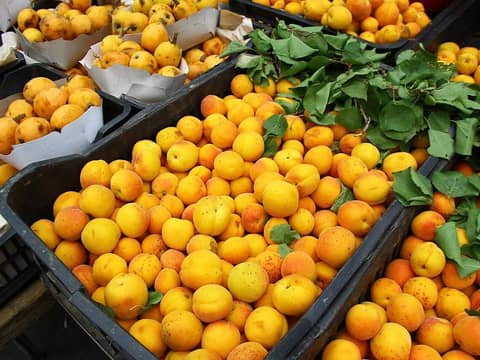 Algeria travel scene