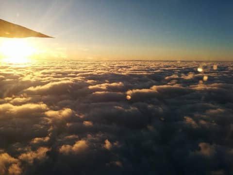 Global travel scene