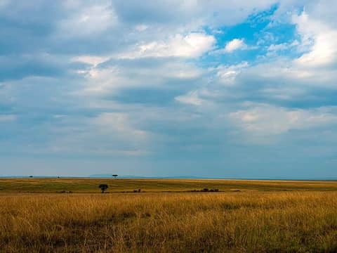 Kenya travel scene